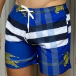 Short Mauricinho Burberry  M